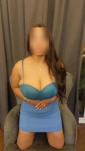 vip индивидуалки заветное
